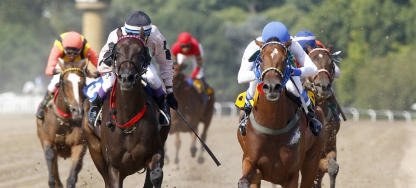 carrera de caballos hipódromo La Plata