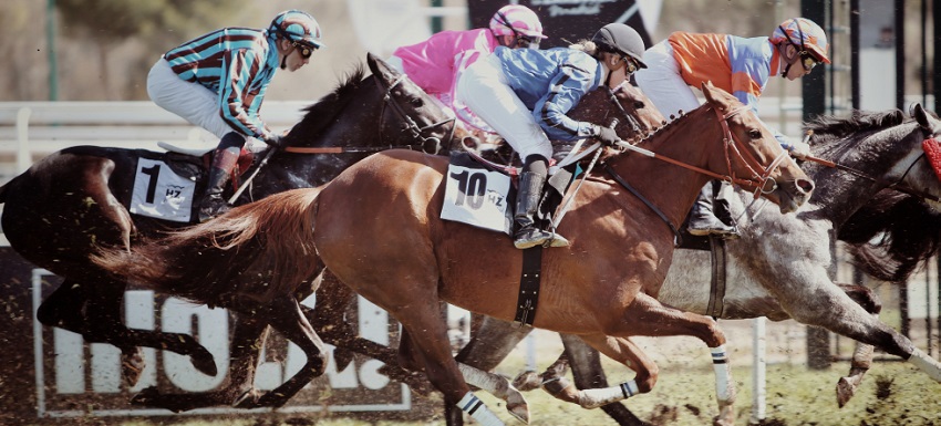 carrera caballos Hipódromo Zarzuela